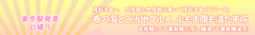 東京駅発着／日帰り｜房総半島へ 内房線と外房線に乗って房総半島ぐるり一周｜春の海とご当地グルメ、心もお腹も満たす旅｜安房鴨川（千葉県鴨川市）、勝浦（千葉県勝浦市）