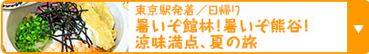  東京駅発着／日帰り｜暑いぞ館林！暑いぞ熊谷！涼味満点、夏の旅