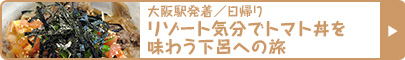 大阪駅発着／日帰り｜リゾート気分でトマト丼を味わう下呂への旅