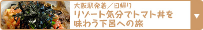 大阪駅発着／日帰り｜リゾート気分でトマト丼を味わう下呂への旅