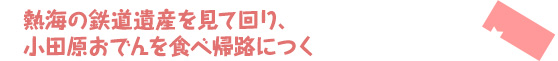 熱海の鉄道遺産を見て回り、小田原おでんを食べ帰路につく