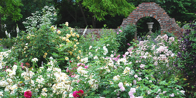 ＧＡＲＤＥＮ　＜十勝千年の森＞