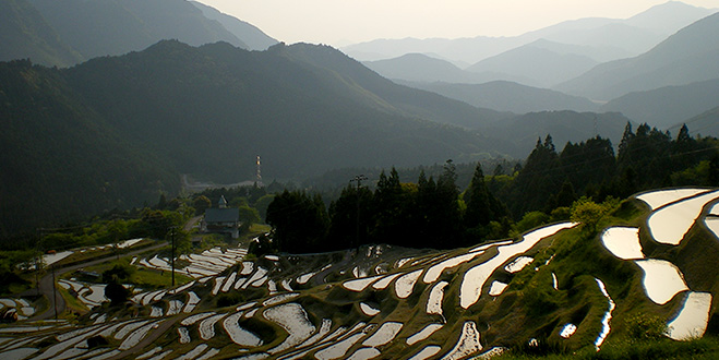 LANDSCAPE ＜丸山千枚田＞