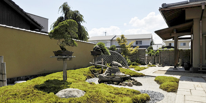 BONSAI 中西珍松園（なかにしちんしょうえん）