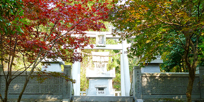 BONSAI 盆栽神社