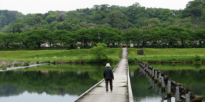 BRIDGE 願い橋