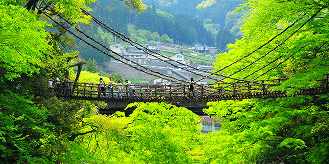 NATURE 祖谷（いや）のかずら橋