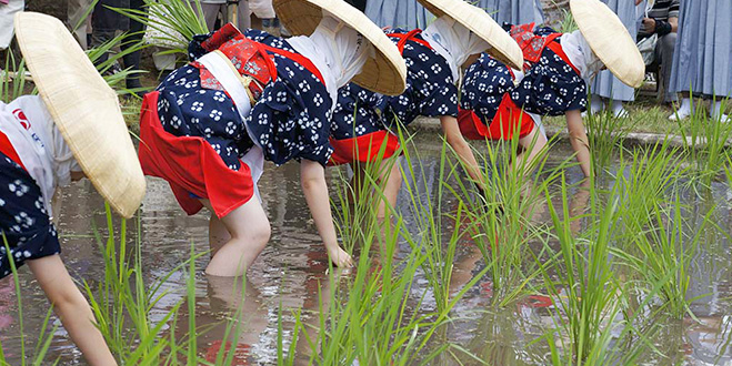 FESTIVAL
伊佐須美神社　御田植祭
