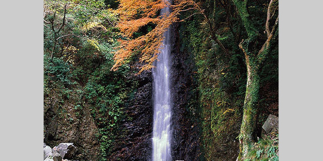 WATERFALL
養老の滝
