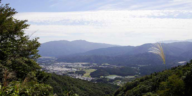 MOUNTAIN
伊吹山

