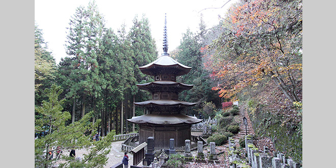 TEMPLE
安楽寺

