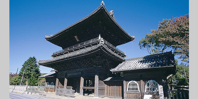 TEMPLE
大樹寺

