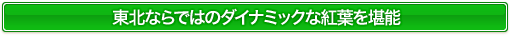 東北ならではのダイナミックな紅葉を堪能