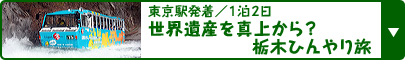 東京駅発着／１泊２日 世界遺産を真上から？ 栃木ひんやり旅