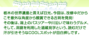 栃木の世界遺産と言えば日光。今回は、改修中だからこそ 意外な角度から観賞できる古刹を発見！ その後は、湖上のバスツアーや川沿いで味わうグルメ、 そして、洞窟を利用した酒蔵見学という、読むだけで 汗が引きそうなCOOLスポットが目白押しです。