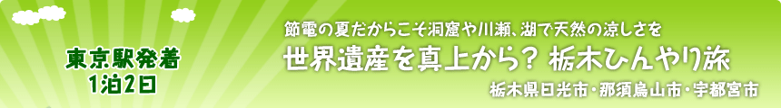 東京駅発着／１泊２日 節電の夏だからこそ洞窟や川瀬、湖で天然の涼しさを 世界遺産を真上から？ 栃木ひんやり旅 栃木県日光市・那須烏山市・宇都宮市