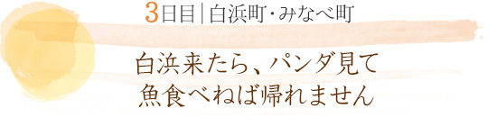 3日目 白浜町・みなべ町｜白浜来たら、パンダ見て魚食べねば帰れません
