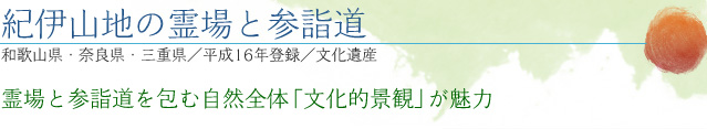 紀伊山地の霊場と参詣道｜和歌山県・奈良県・三重県／平成16年登録／文化遺産｜霊場と参詣道を包む自然全体「文化的景観」が魅力