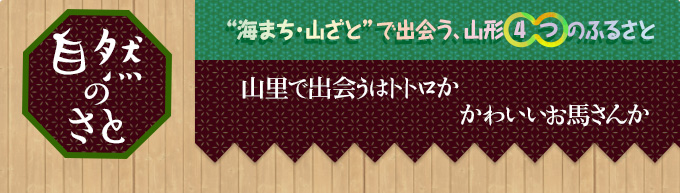 自然のさと｜“海まち・山ざと”で出会う、山形○4○つのふるさと｜山里で出会うはトトロかかわいいお馬さんか