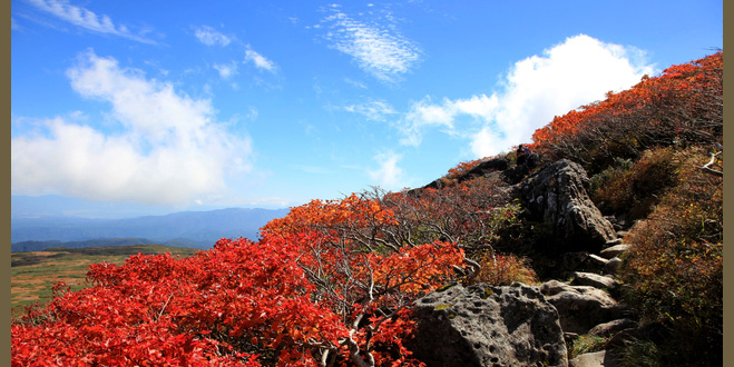 紅葉が最高のシーズンに
百名山へトライ！
