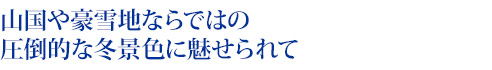 山国や豪雪地ならではの圧倒的な冬景色に魅せられて